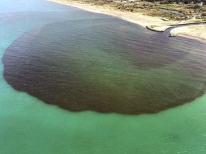 Foto sversamento in foce Canale Agnena