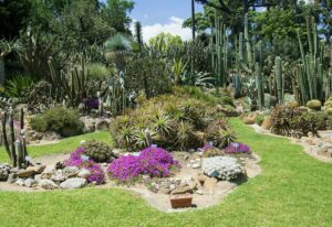 orto-botanico