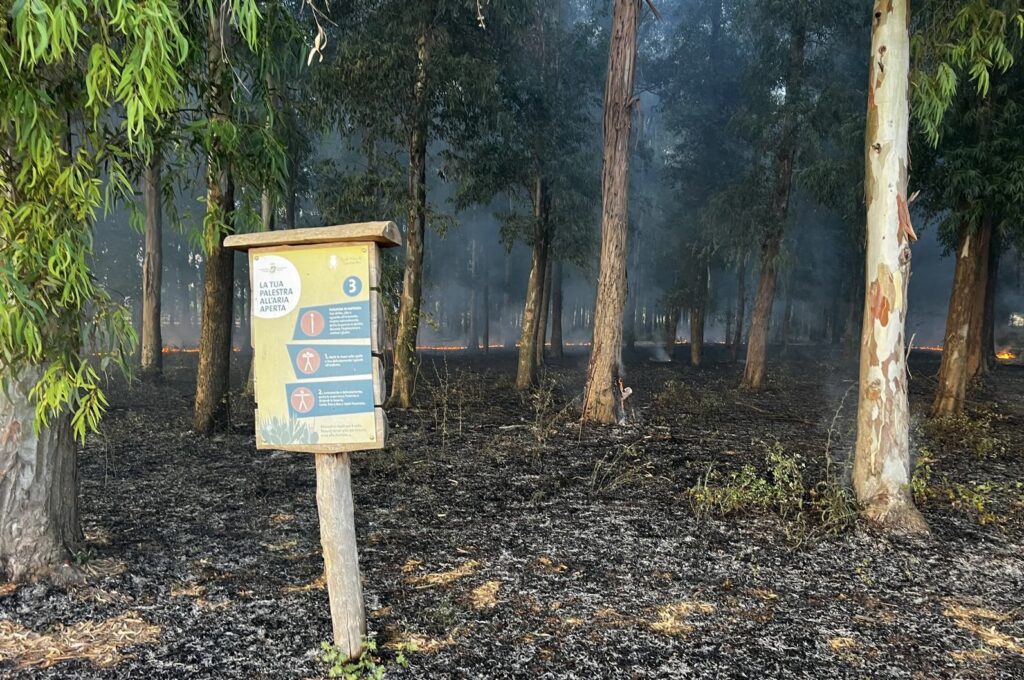 real carditello incendio