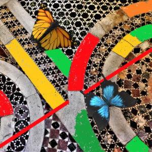 mostra Frontiere - Rino Vellecco - Farfalle
