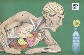 microplastice - immagine dal web