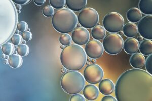 1. Illustrazione di nanoparticelle lipidiche (LNP)
